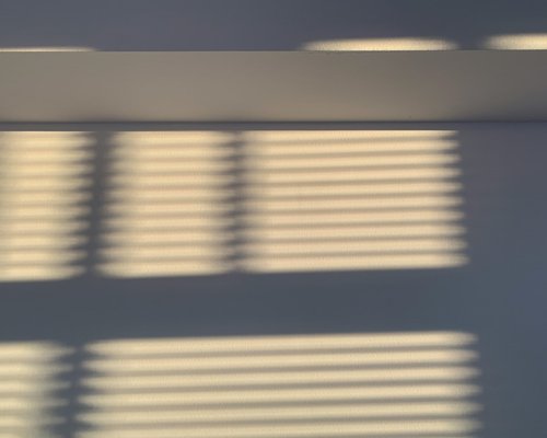 Sunlight streaming softly through window blinds